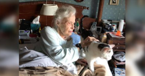 101 yaşındaki kadın barınaktaki en yaşlı kediyi evlat edindi