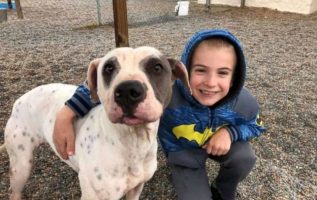 7 Yaşındaki Çocuk, 1300'den Fazla Köpeği Kurtardığı için ASPCA Yılın Çocuğu Ödülünü Kazandı
