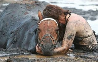 900 Kiloluk bir hayvan aldıktan sonra bir kadın üç saat boyunca atına yapışır s.tu.ck çamurda