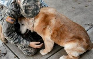 Asker, 4 Ay Aradan Sonra Kıdemli Köpeğini Şaşırtıyor - İç Açıcı An