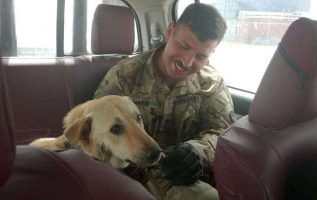 Asker Irak'ta Tanıştığı Köpekle Yeniden bir araya geldi ve Onu ABD'ye getirdi.