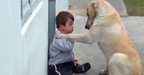 Down Sendromlu Çocuğun Arkadaşı Yok, Köpeğin Tepkisi Beni Gözyaşlarına Boğdu