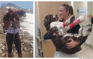 Kadın Yaralı 55 Kiloluk Köpeği Dağda Tek Başına Bulur Ve Onu Omuzlarına Kaldırır