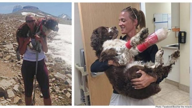 Kadın Yaralı 55 Kiloluk Köpeği Dağda Tek Başına Bulur Ve Onu Omuzlarına Kaldırır