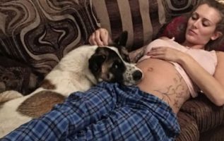Köpeğin Sürekli Havlaması Hamile Kadının Hayatını Kurtardı