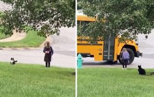 Kurtarma Kedisi Küçük Kızını Her Gün Okul Otobüsüne Kadar Yürür