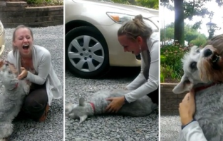 Sahibi 2 Yıllık Yolculuktan Sonra Eve Geldiğinde Köpek Sevinçle Bayılıyor