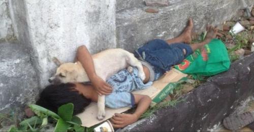Sokak Çocuğu Evsiz Bir Köpeği Evlat Edinir Ve Yalnız Kalmamak İçin Her Zaman Birlikte Kalırlar