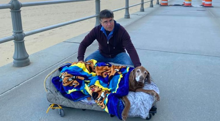 Владелец сделал передвижную кровать для своей больной собаки, чтобы она смогла насладиться закапложна