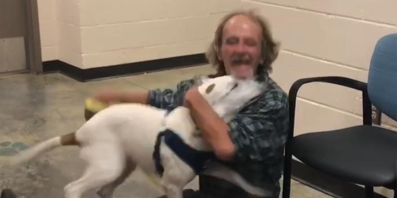 Homeless man reunites with lost dog in heartwarming video